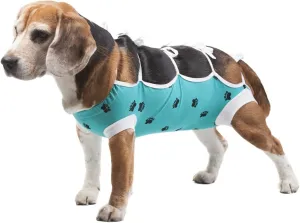 E-Collar Alternative for Cats and Dogs Designed to Protect Abdominal Wounds and Skin Disease. Award Winning and Patented Design Recommended by Veterinarians Worldwide. (X-Small, Teal Green)