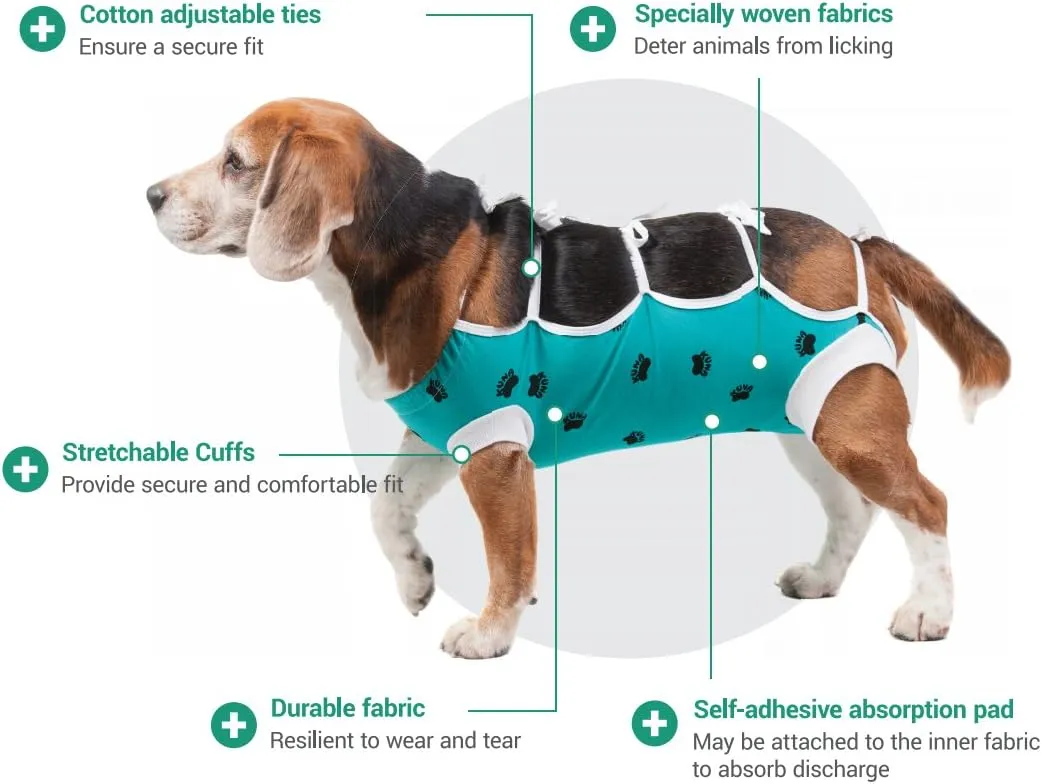 E-Collar Alternative for Cats and Dogs Designed to Protect Abdominal Wounds and Skin Disease. Award Winning and Patented Design Recommended by Veterinarians Worldwide. (X-Small, Teal Green)