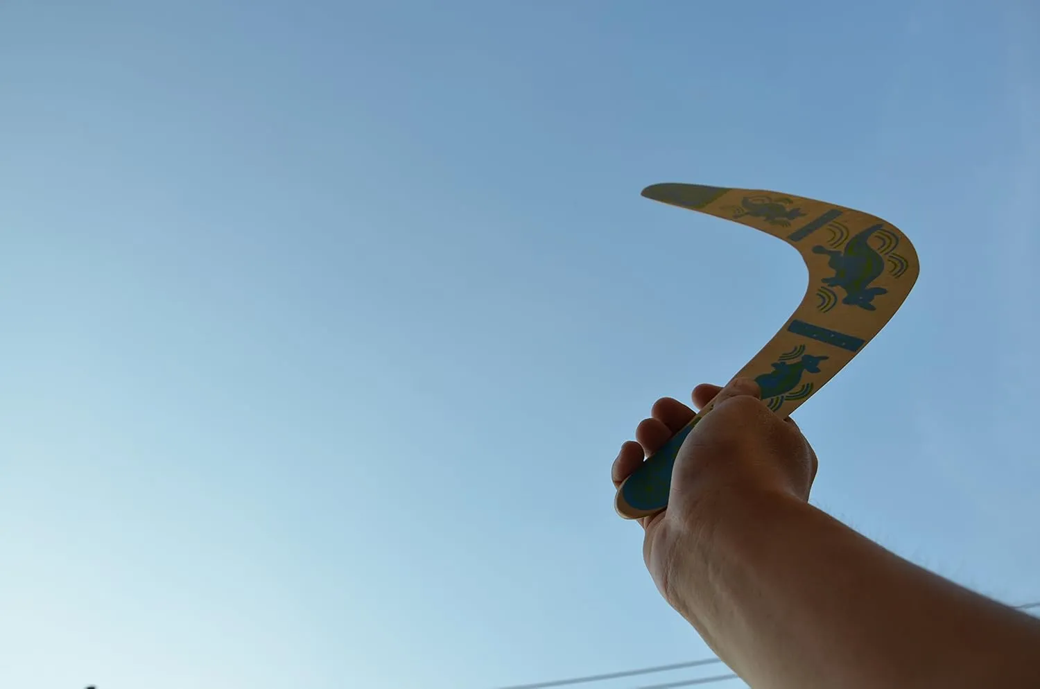HOMEE Handmade Boomerang Kangaroo Australian Style Maneuver Dart Darts Outdoor Sports Wooden Throwing EquipmentSuit for Kids Over 6 and Adults The Best Flying Toy Color Blue